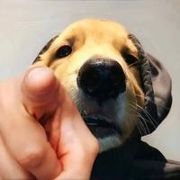 别让情绪失控害了你286头像