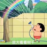 小张学长头像