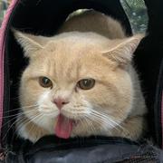 fifi的个人资料头像