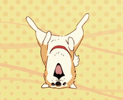 FakeWing的个人资料头像