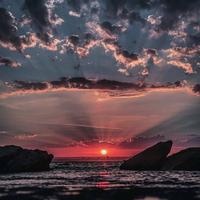 家有奶猫341头像