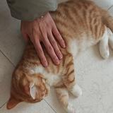 是白熊呀888头像