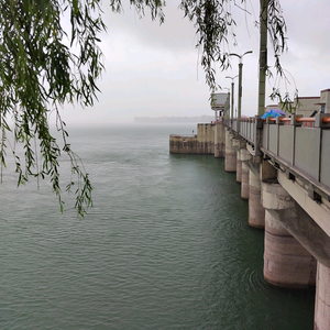 滹沱河湿地～石家庄头像