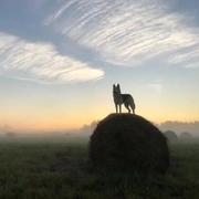 rbelearning的个人资料头像