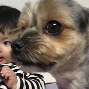 YANGZEKAIIIIII的个人资料头像