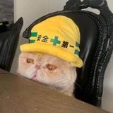 这个名字是真难起啊头像