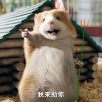 一人话春秋头像