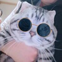 老铁的猫头像