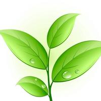 鸿浩之志642头像