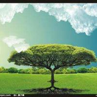 树木成林468头像