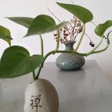 就是爱喝白开水头像