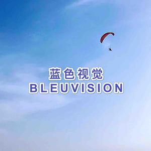 蓝色视觉BLEUVISION头像