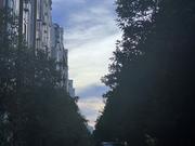 非尔所见的个人资料头像