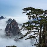 南山新雨后头像