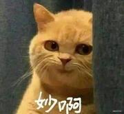 小粥粥出击的个人资料头像
