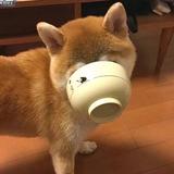 Tomorrowwillbebett52头像