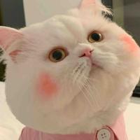 奶爸期待头像