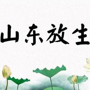 山东放生团头像