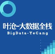 叶沧_数据智能的个人资料头像
