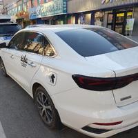 草原小毛球头像