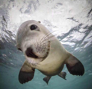 WIll的个人资料头像