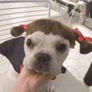 喔喔喔喔喔的个人资料头像