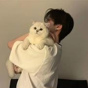 SevenT的个人资料头像