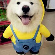 zy272的个人资料头像