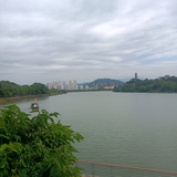 粤R在路上头像