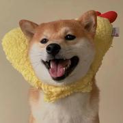 wy115的个人资料头像