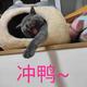 刘一躺TT头像