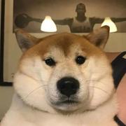 你好帅啊的个人资料头像