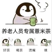 学浅445的个人资料头像