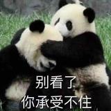 一生都在沉睡头像