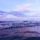 Denovo76626的个人资料头像