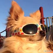 lhaomiao的个人资料头像