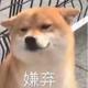 冷淡狗头像