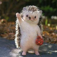 上进的熊猫RIo头像