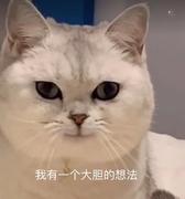 大胆一点的个人资料头像