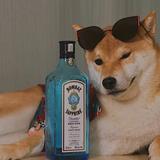 寒灯独夜人丶头像