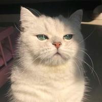 用户8436817250346头像