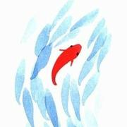 pifeng的个人资料头像