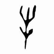 牛冰康的个人资料头像