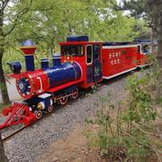 善良是本心的个人资料头像