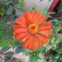 用户1270682743736596头像