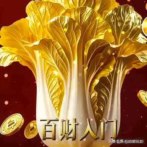 大武哥闯天涯头像