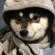 用户5133403621486的个人资料头像