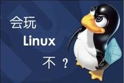 极致linux的个人资料头像