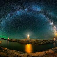 高级枫叶4V2头像