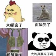 有生之莲花的个人资料头像